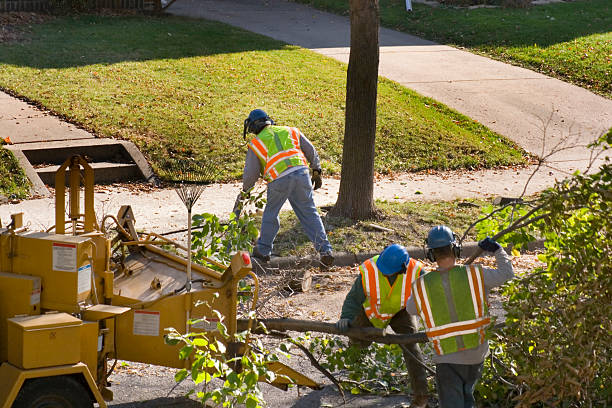 Tree Branch Trimming in Germantown, WI